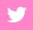 Twitter icon